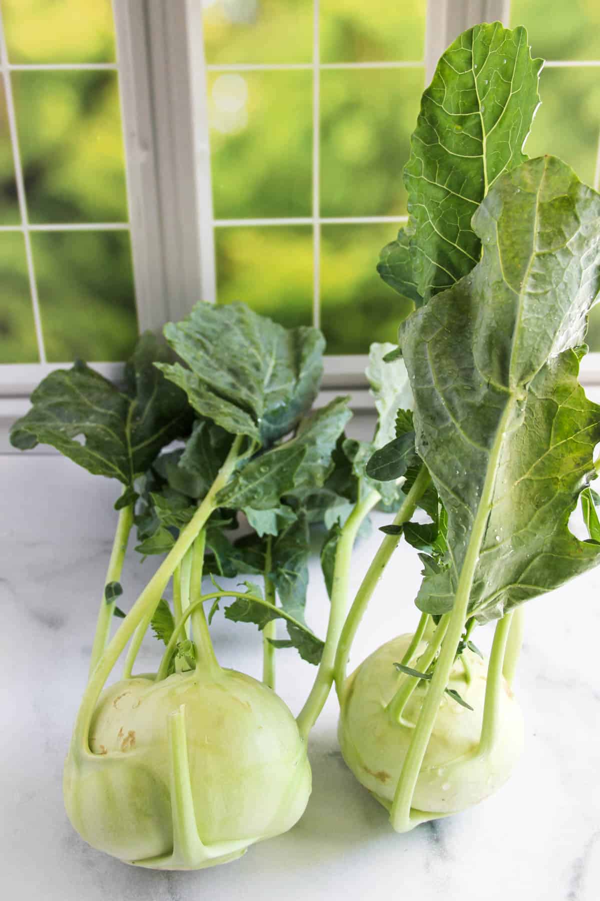 two kohlrabi with stems and leaves 