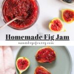 fig jam photo collage for pinterest